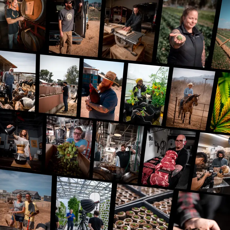 Independent makers filming their shows: brewers, farmers, bakers, woodworkers and ranchers
